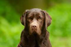 My Brand Twice Is Not Enough