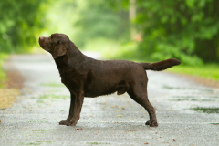 My Brand Twice Is Not Enough