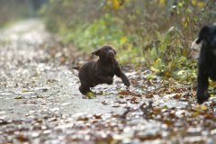 My Brand Twice Is Not Enough (10 weeks old)