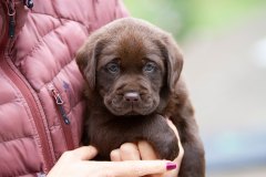 My Brand Twice Is Not Enough (5 weeks old)