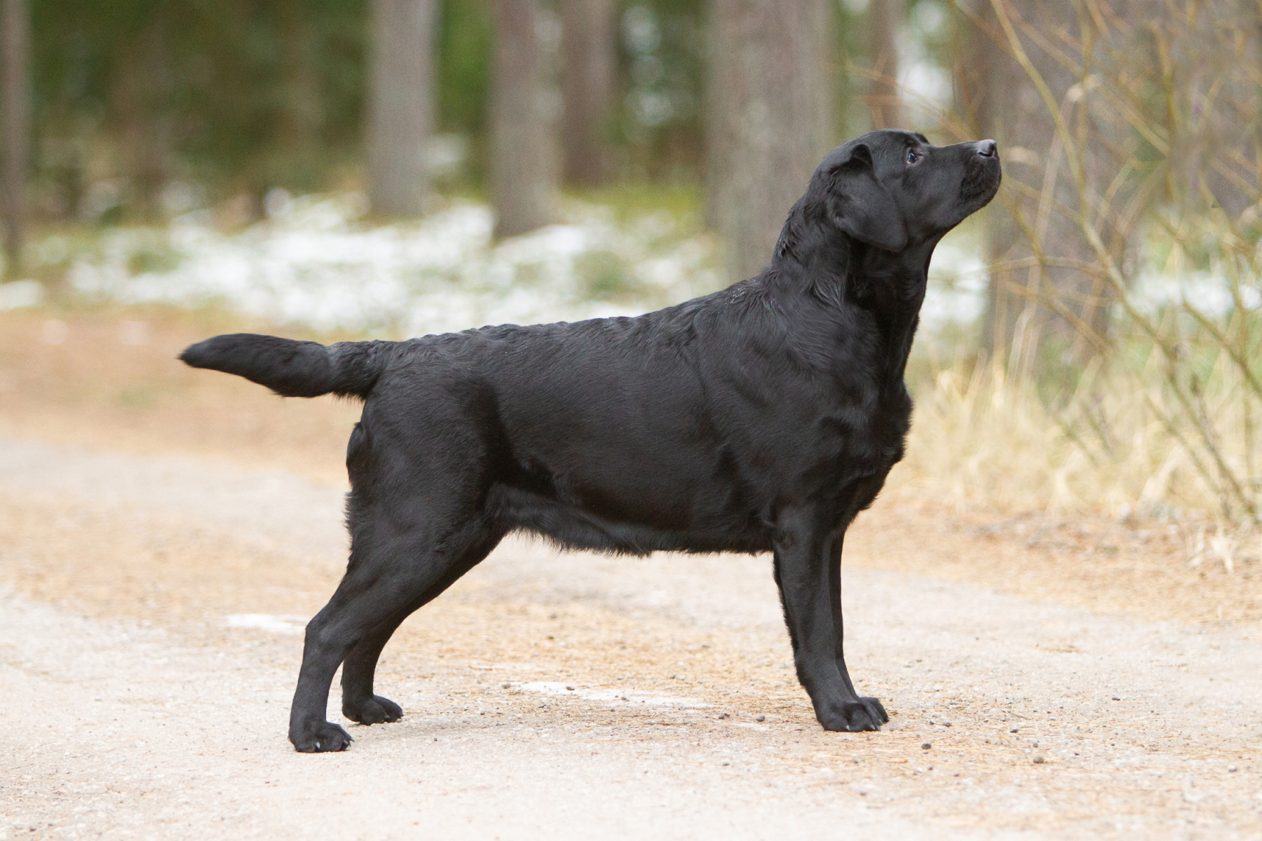 My Brand Twice The Love