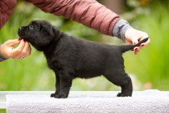 My Brand Twice The Love "Luna"