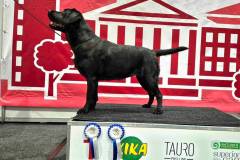 My Brand Twice The Love "Luna"