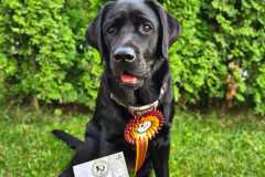 My Brand Twice The Love "Luna"