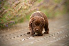 My Brand Unforgettable Me (5 weeks old)