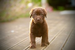 My Brand Unforgettable Me (5 weeks old)