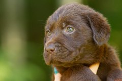 My Brand Unforgettable Me (6 weeks old)