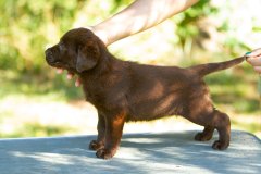 My Brand Unforgettable Me (6 weeks old)