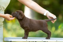 My Brand Unforgettable Me (7 weeks old)