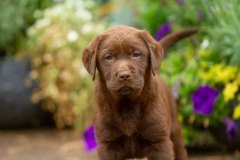 My Brand Unstoppable Me