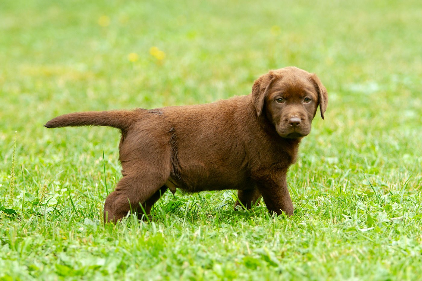 My Brand Unstoppable Me