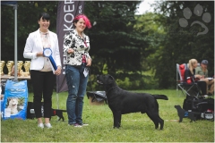 My Brand Van Damme at the age of 2 years, Club Show Winner 2019