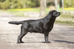 My Brand Van Damme at the age of 4 years