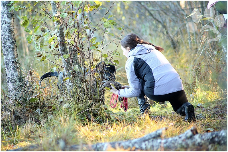 my brand victoria's secret