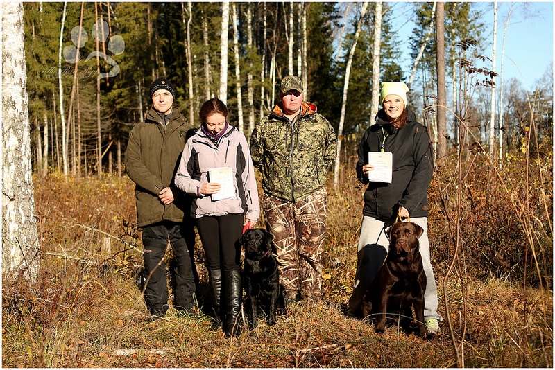 my brand victoria's secret