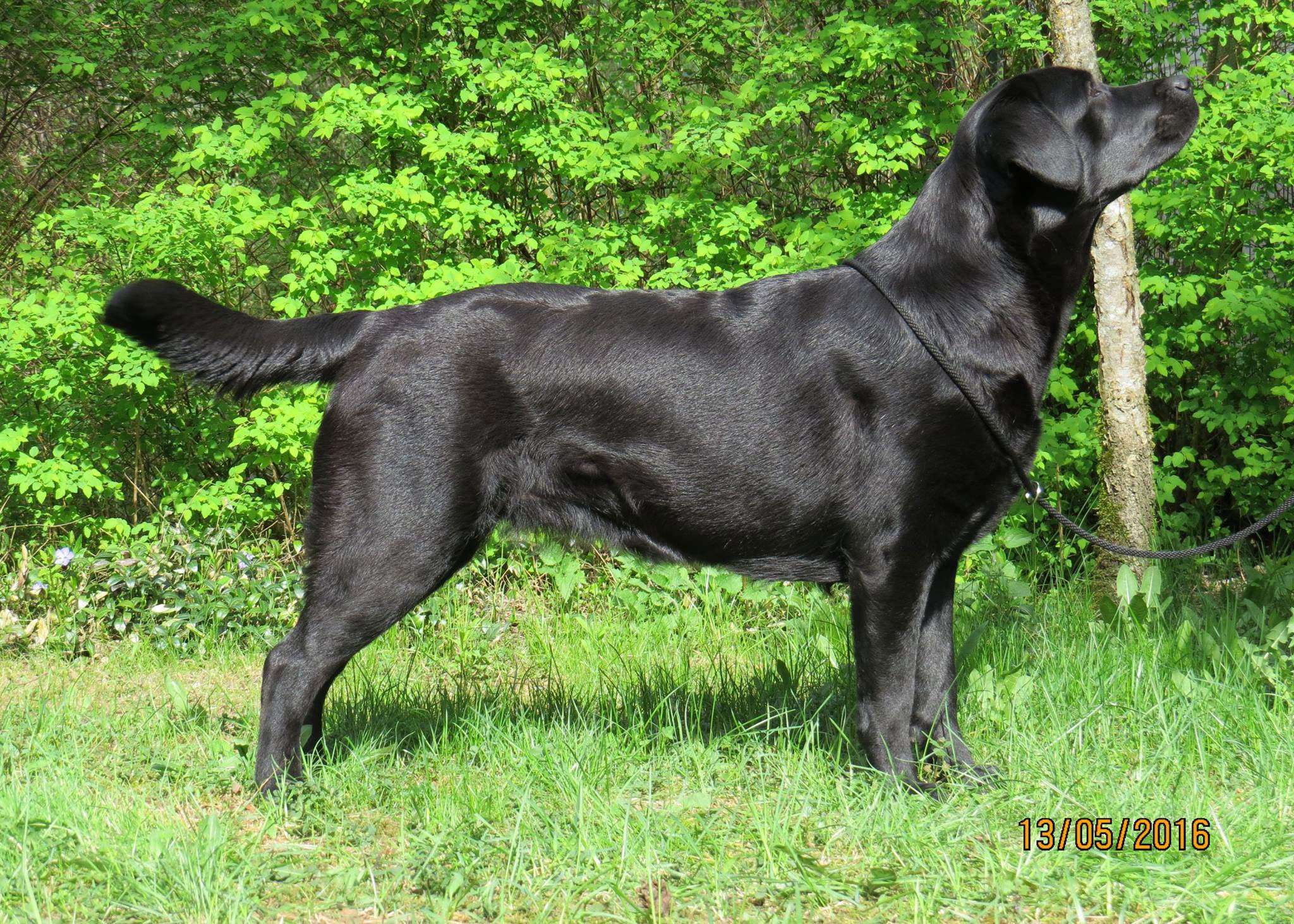 MB-Victoria's-Secret