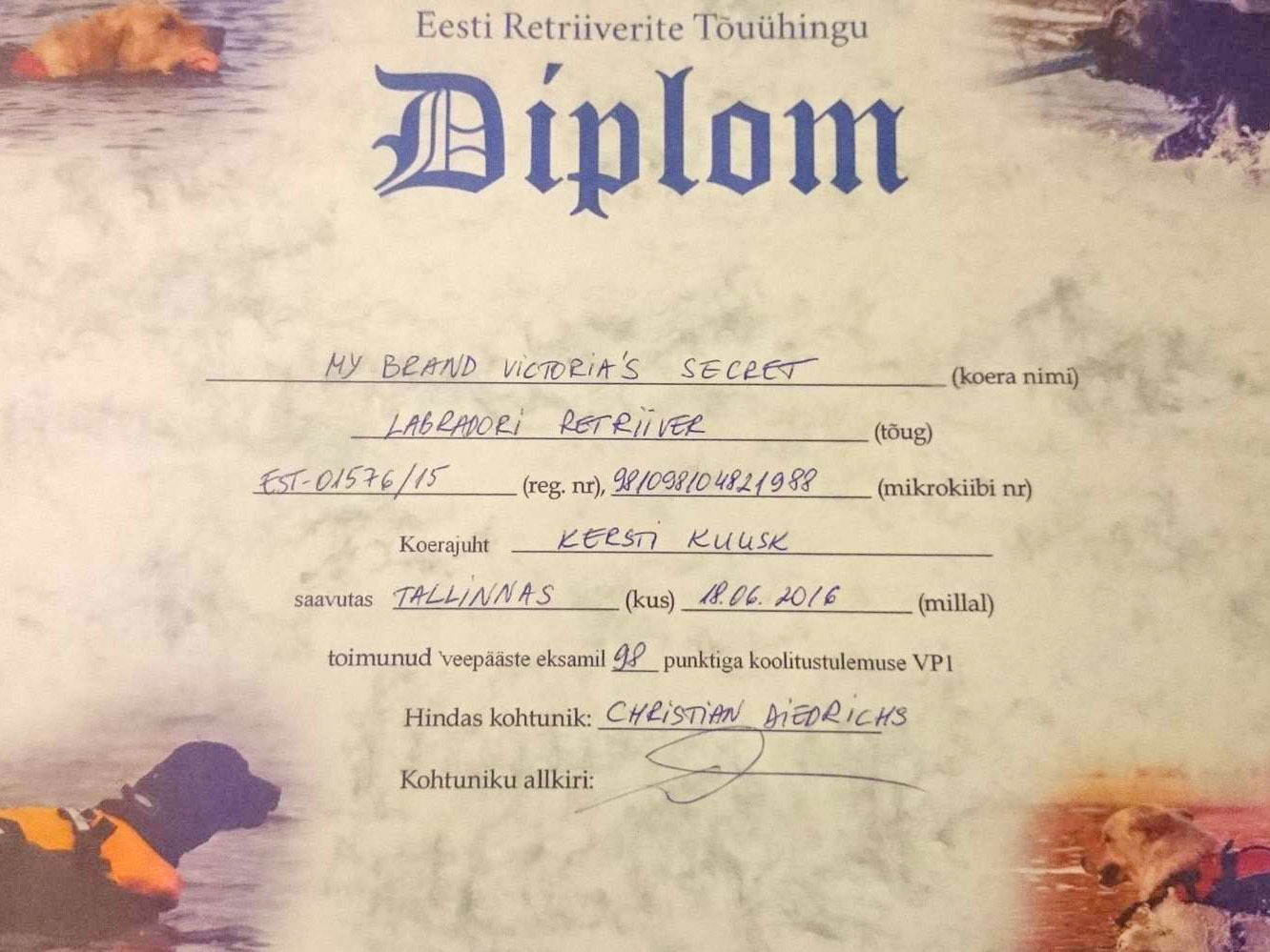 victoria-veepaaste-diplom