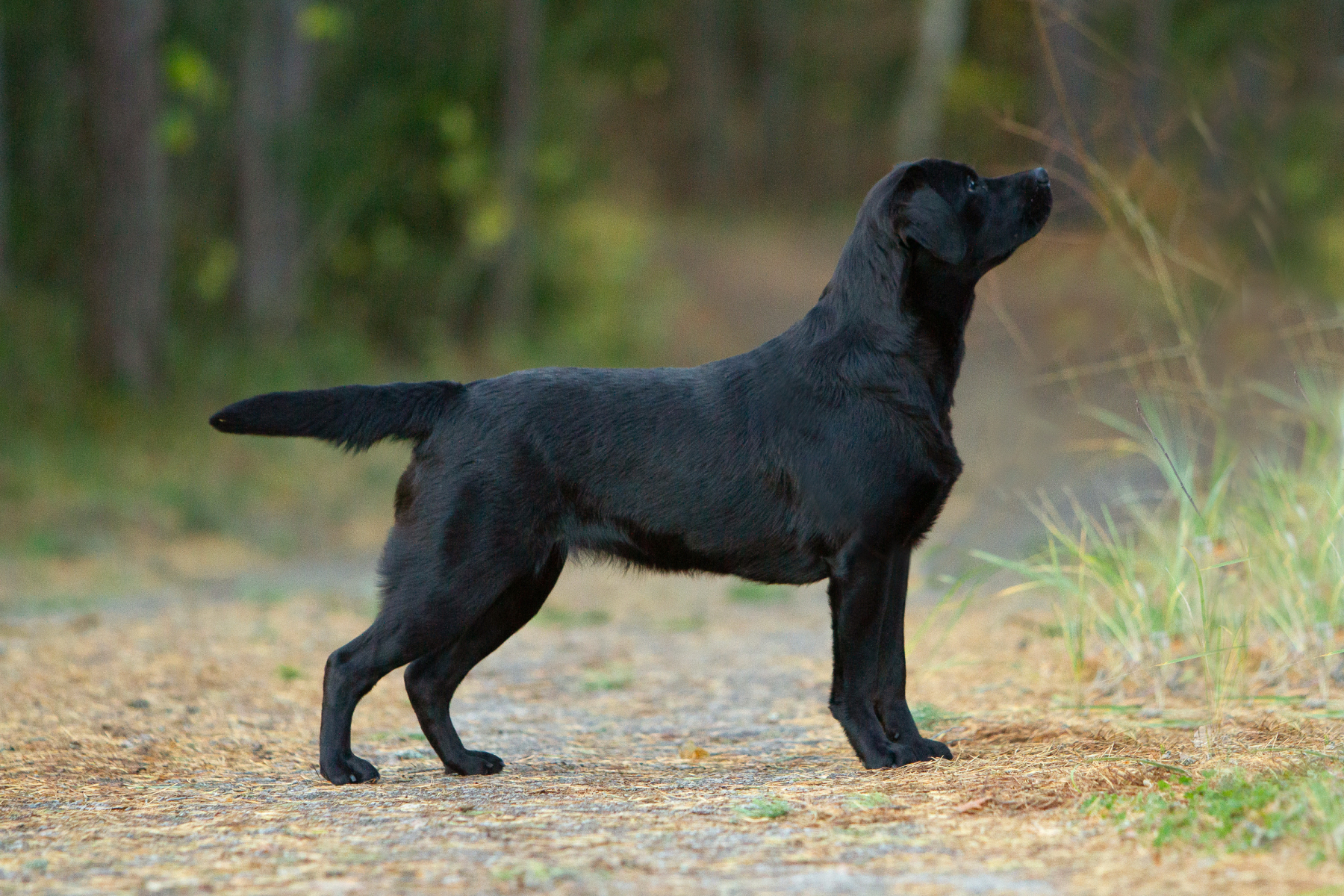 My Brand What A Wonderful World