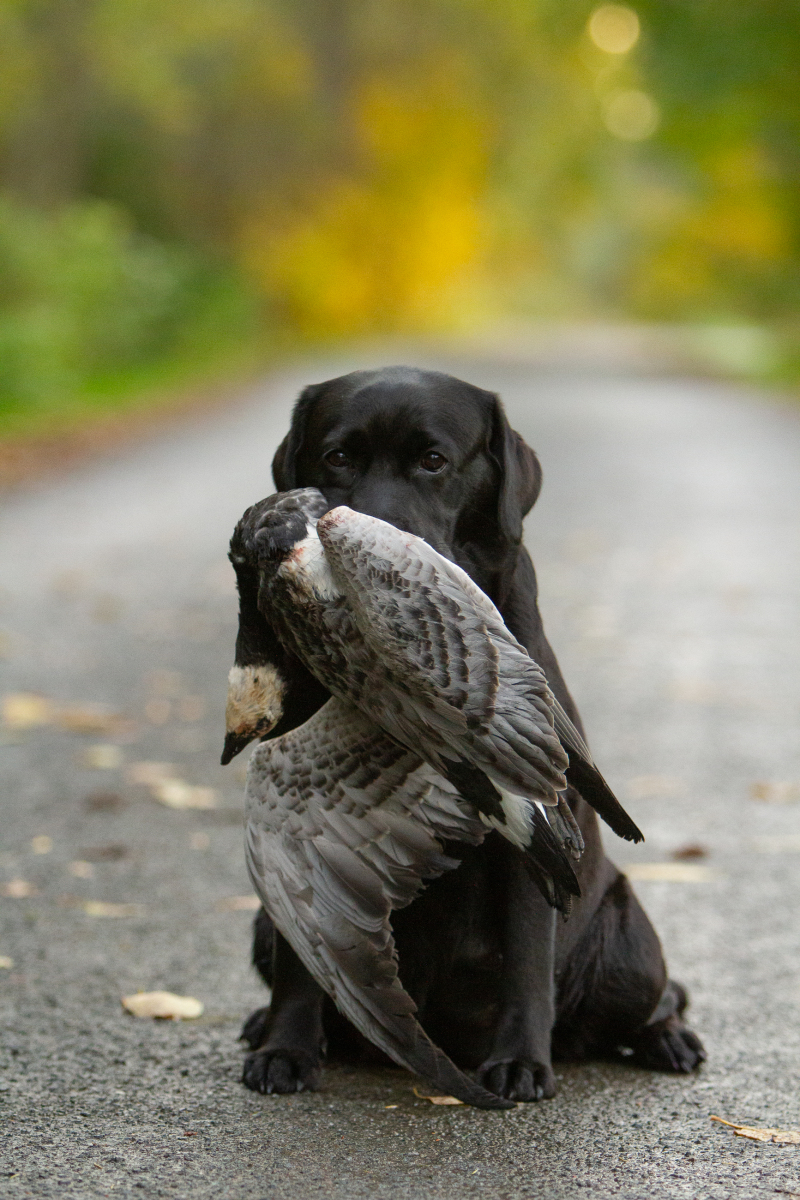 My Brand What A Wonderful World "Romina"