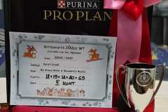 My Brand What A Wonderful World "Romina"