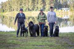 My Brand What A Wonderful World "Romina"