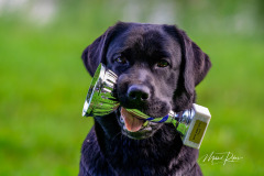 My Brand What A Wonderful World "Romina"