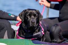 My Brand What A Wonderful World "Romina"