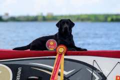 My Brand What A Wonderful World "Romina"