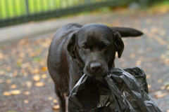 My Brand What A Wonderful World "Romina"