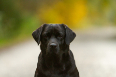 My Brand What A Wonderful World "Romina"