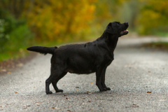 My Brand What A Wonderful World "Romina"