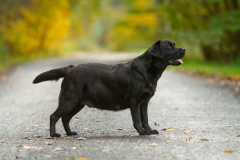 My Brand What A Wonderful World "Romina"