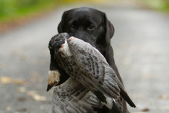 My Brand What A Wonderful World "Romina"