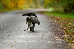 My Brand What A Wonderful World "Romina"