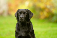 My Brand What A Wonderful World "Romina"