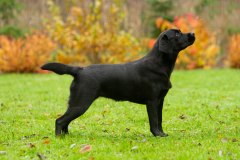 My Brand What A Wonderful World "Romina"