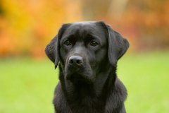 My Brand What A Wonderful World "Romina"