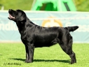emma-20m
