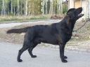 ramses_1a