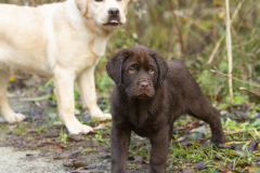 My Brand Twice Is Not Enough "Paul"