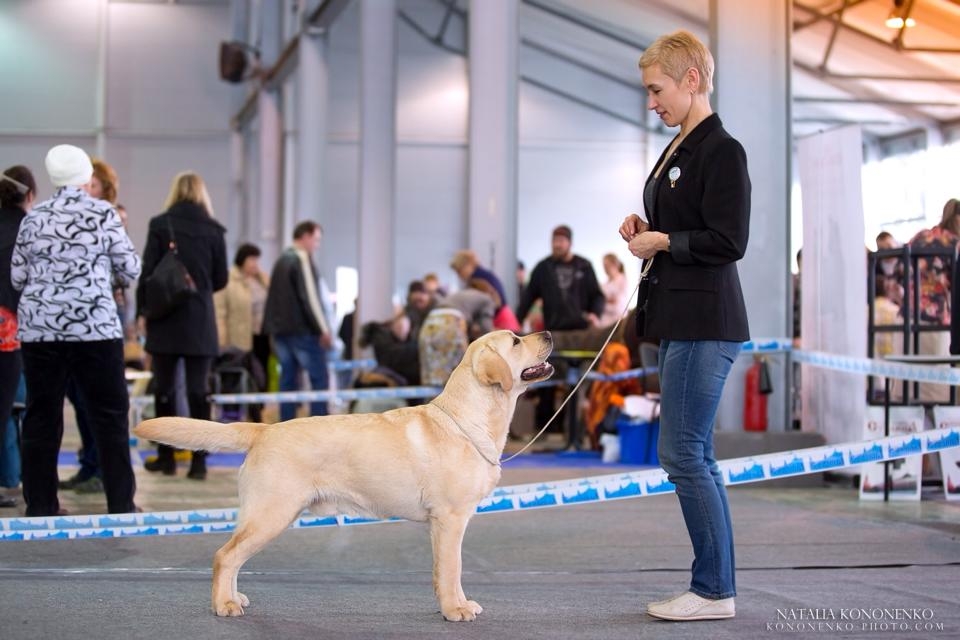 Sanbirds Tibet Stenveyz (10 m)