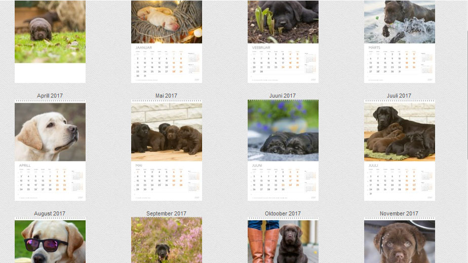 posts-MB-kalender