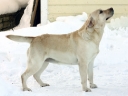 sally-5y-02