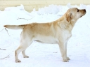 sally-5y