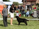 caffu-latvia-2