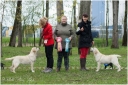 BOB & BIS I Puppy Tsunami Bella Mare & BOS Puppy Tawastway’s Snowholic at Retriever Puppy & Veteran Show 11.5.2014, Judge Hedi Kumm (Est).