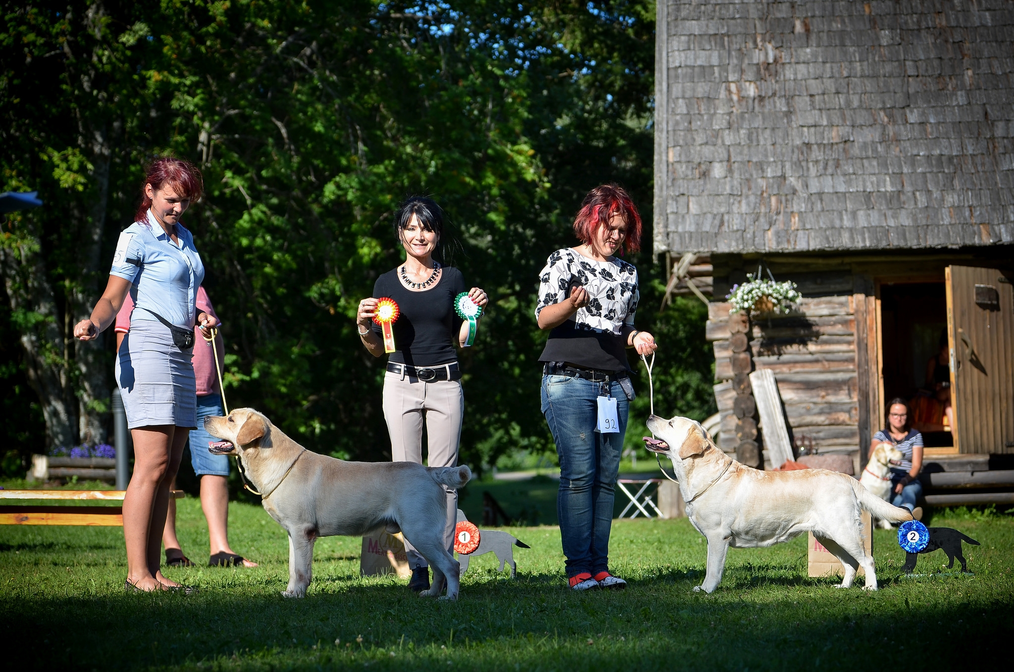 Best of Breed at the Retriever Specialty 2016 in Southern Estonia, judged by Rosa Agostini. BOS - My Brand Espirit. Photo by Sodelight Photography.