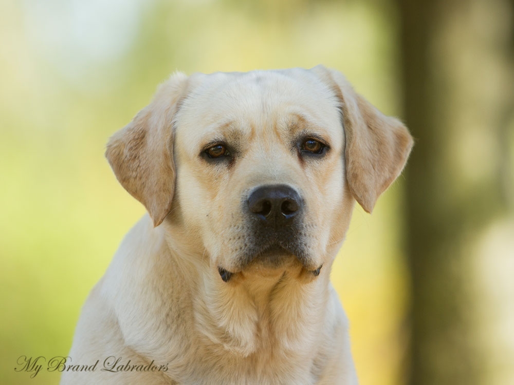 Headshot of Robbie at the age of 2,5 years