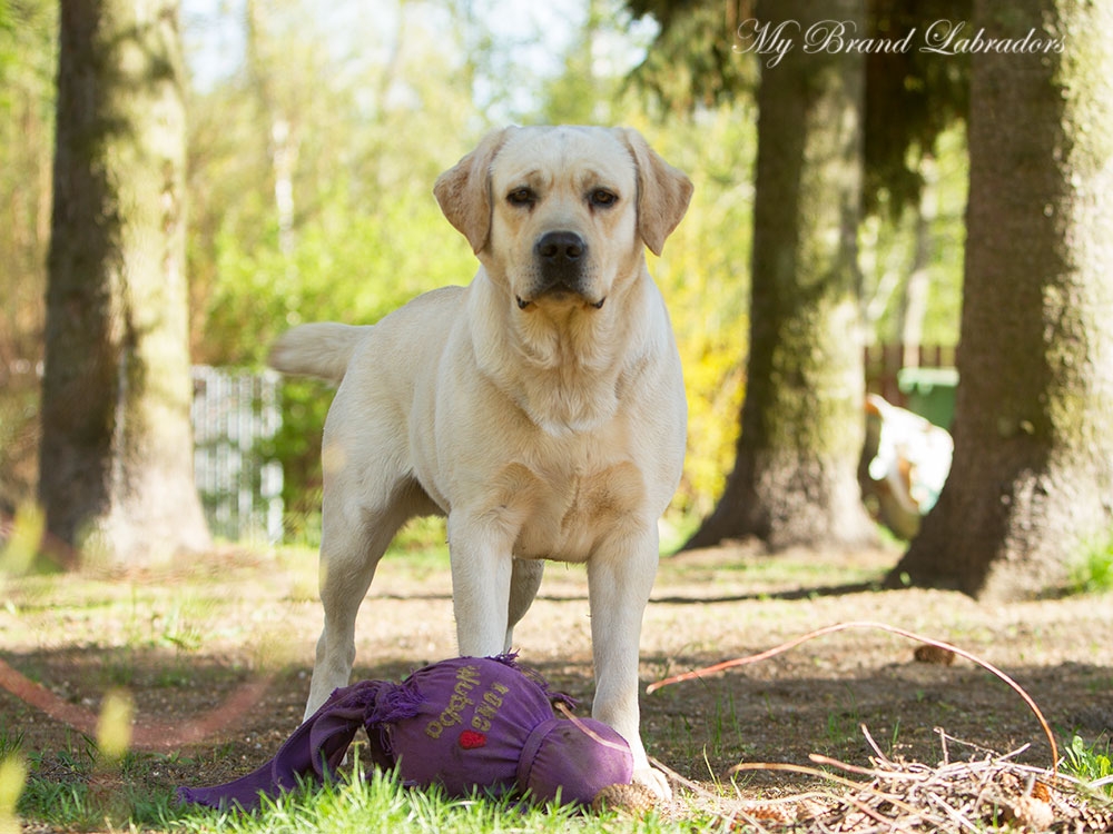 "Come on, for just 5 minutes?"