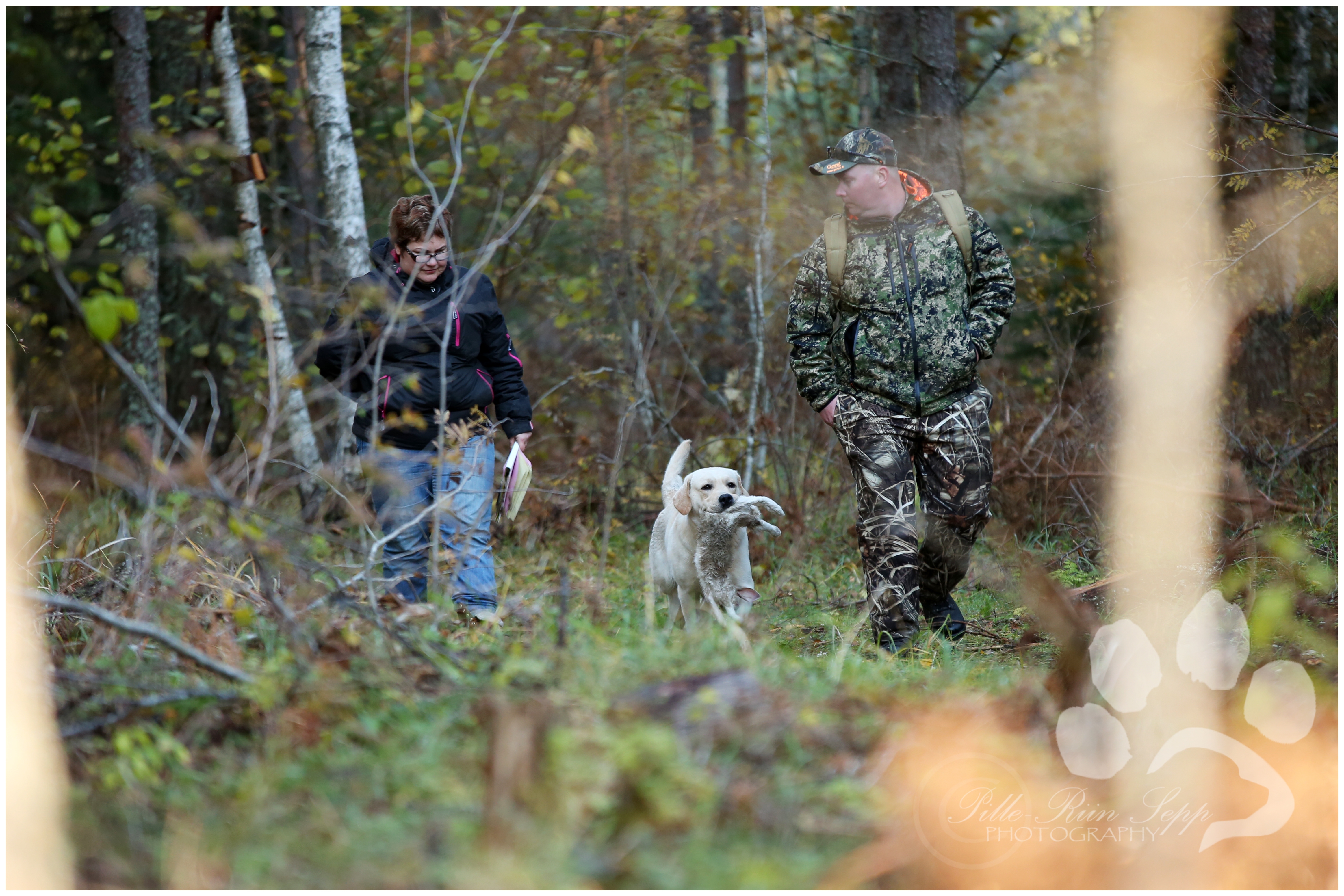 Tawastway's Snowholic - qualified in the field (trained and handled by Reeli Kuhi-Thalfeldt) 24.10.2015